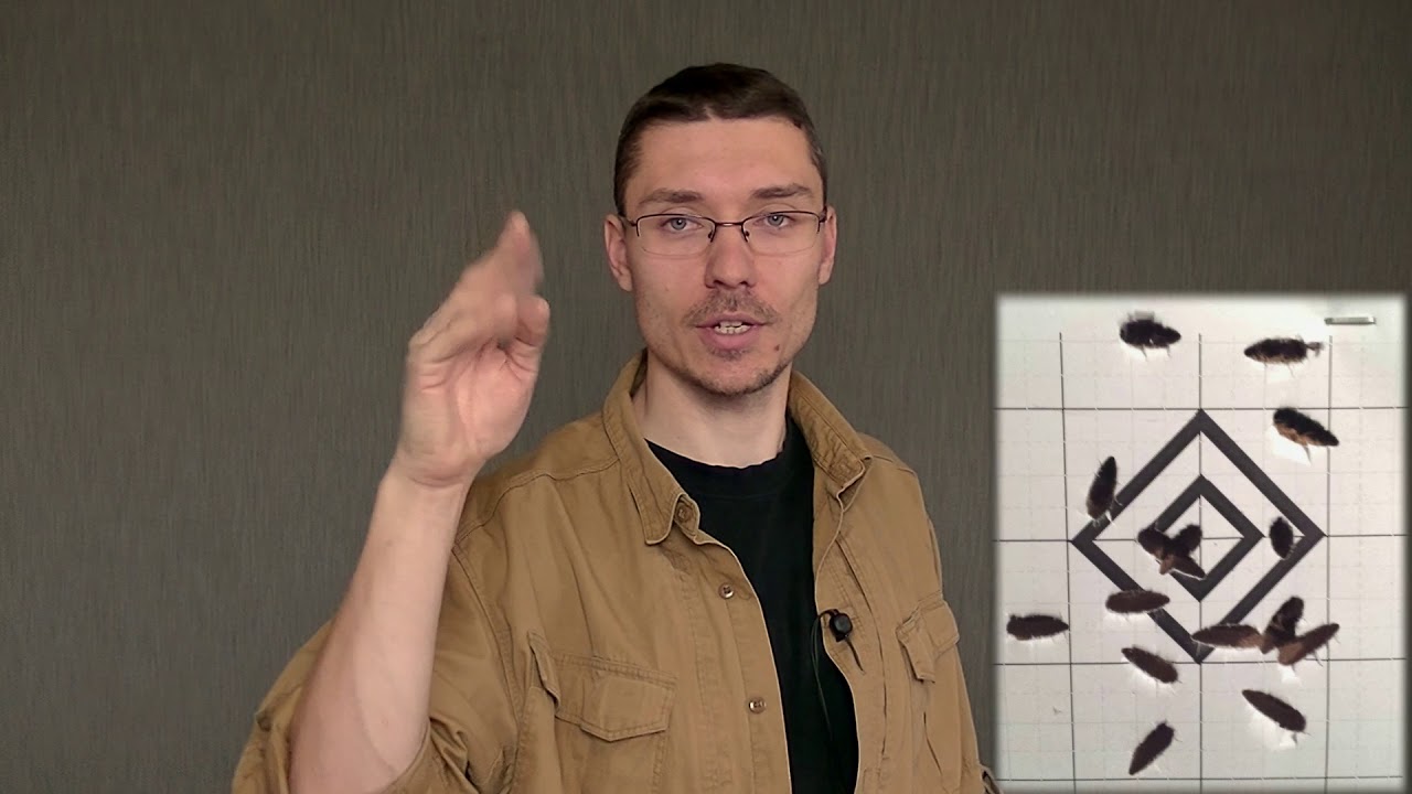 # 36: .223 Rem vs 5,56 mm NATO. Czy bezpiecznie jest stosować je zamiennie?