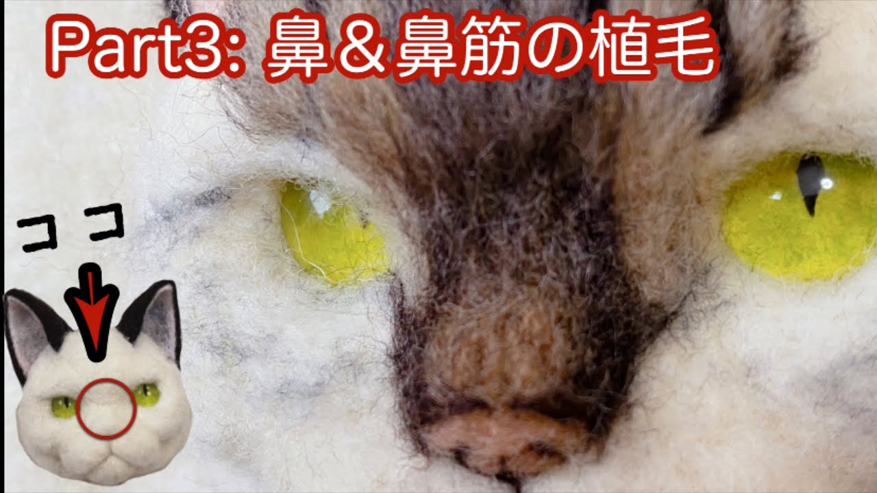 【羊毛フェルト】初心者ｻﾝも一緒にリアル猫作りinフレーム。Part:3 鼻＆鼻筋編