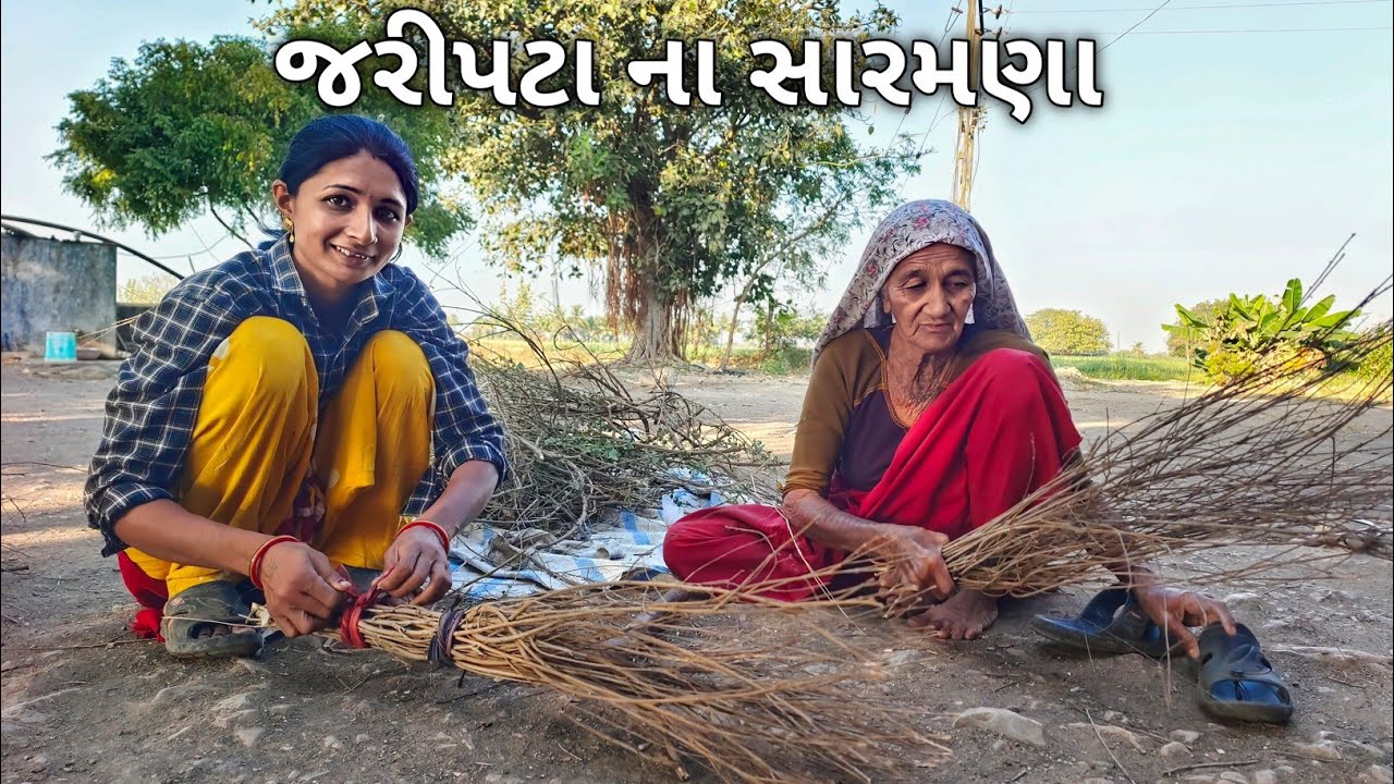 જરીપટા ના સારમણા || R Gujju Vlog || 