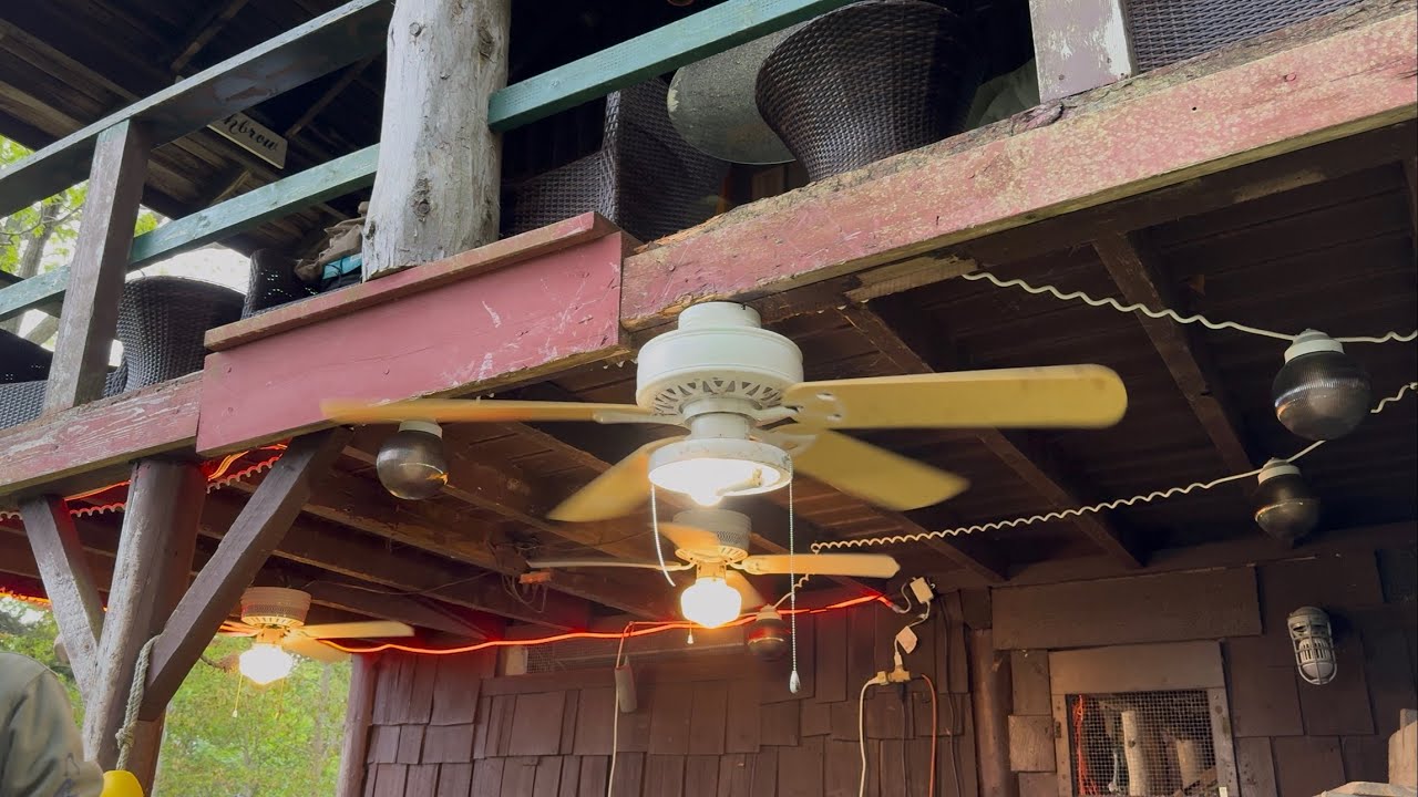 Ceiling Fan Destruction #93
