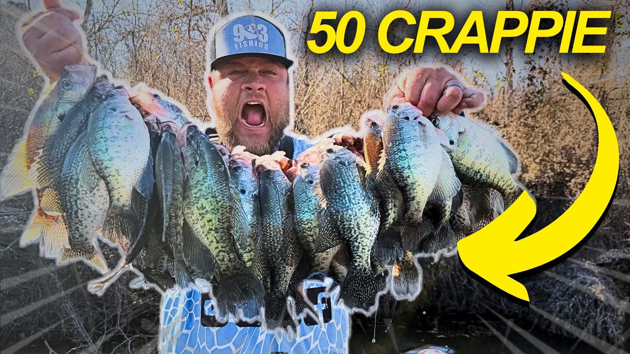 50 RIVER CRAPPIE ON THIS SIMPLE CRAPPIE SETUP!! CRAPPIE FISHING 2026!