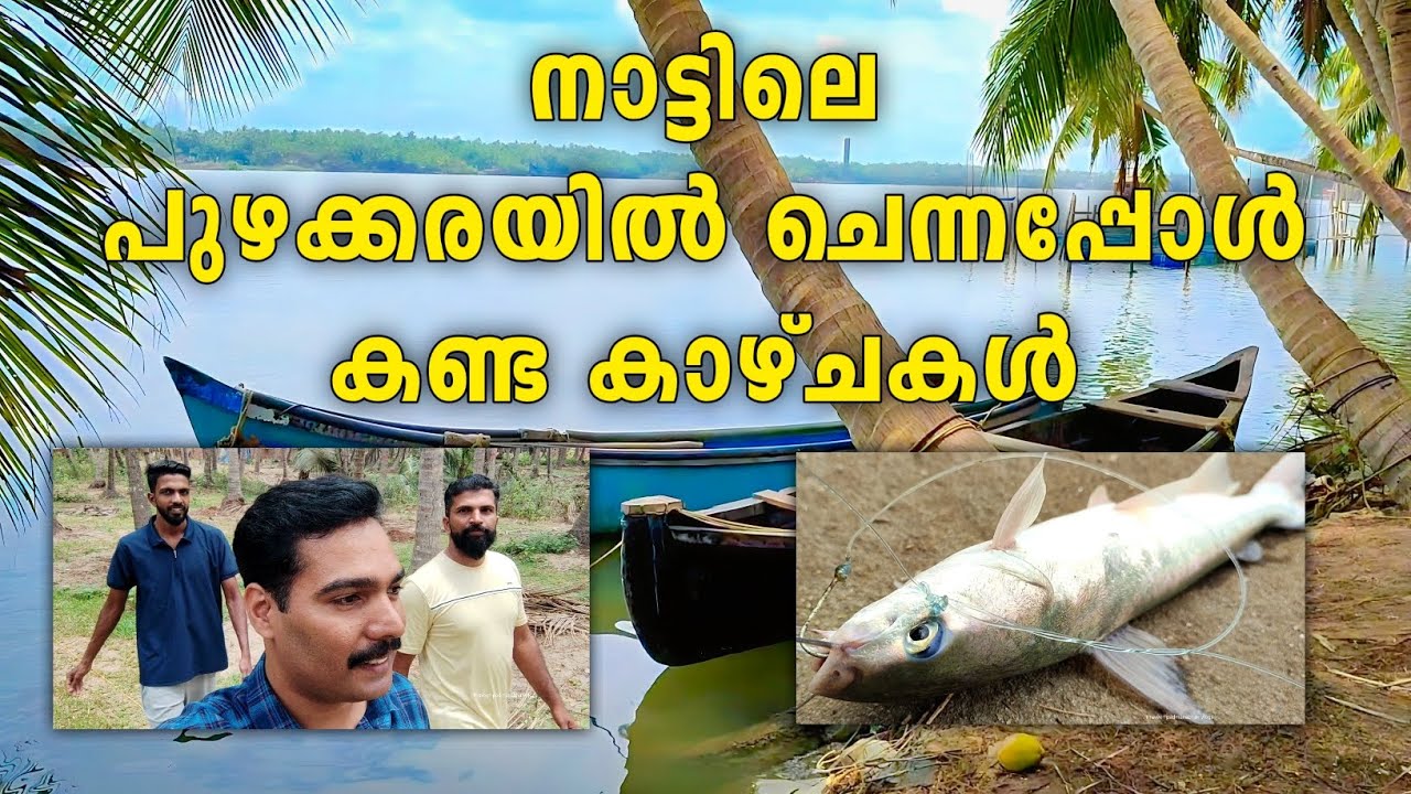 നാട്ടിലെ പുഴക്കരയിൽ കണ്ട കാഴ്ചകൾ | വലിയപറമ്പ |തേജസ്വിനി പുഴ