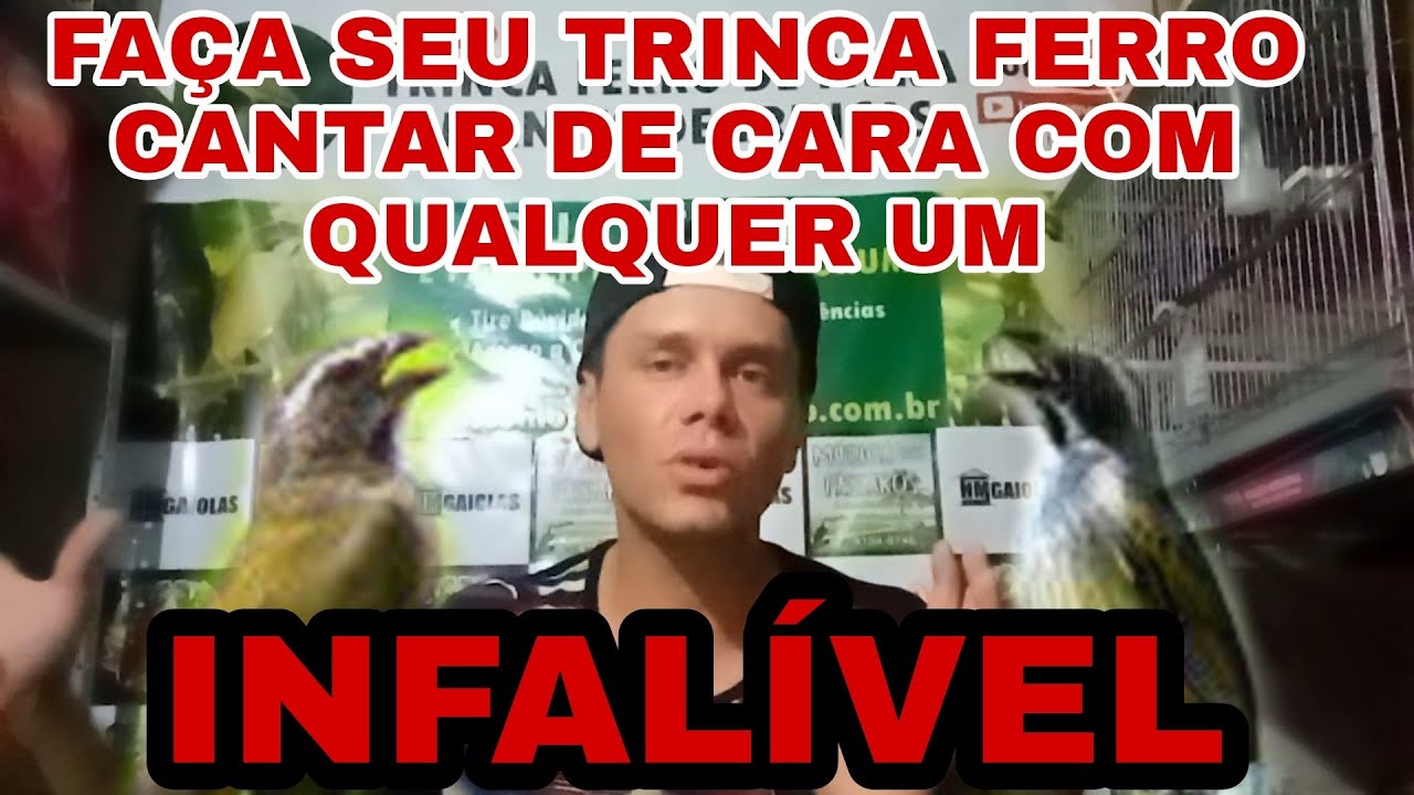 ✅[PASSO A PASSO]COMO FAZER SEU TRINCA FERRO CANTAR DE CARA(FÁCIL).