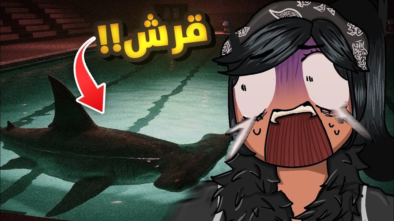 قرش في المسبح🦈!!!