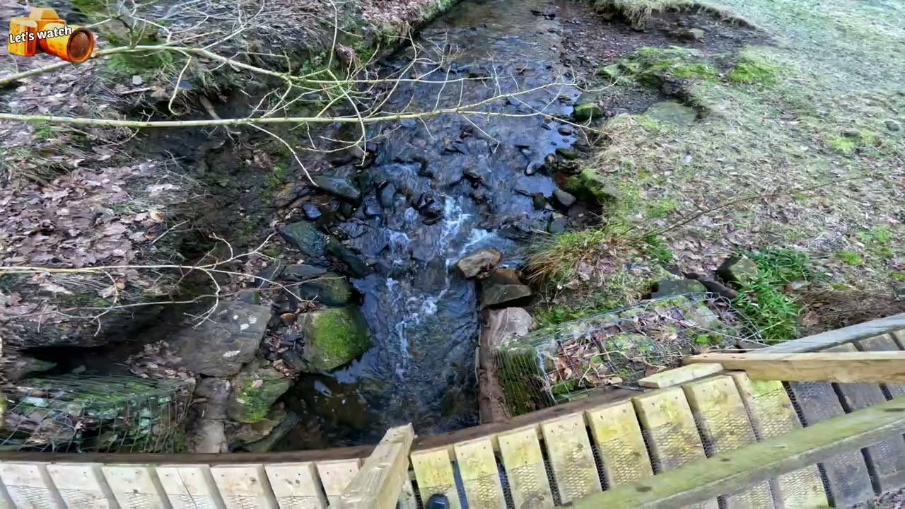 ١٤ فبراير ٢٠٢٦