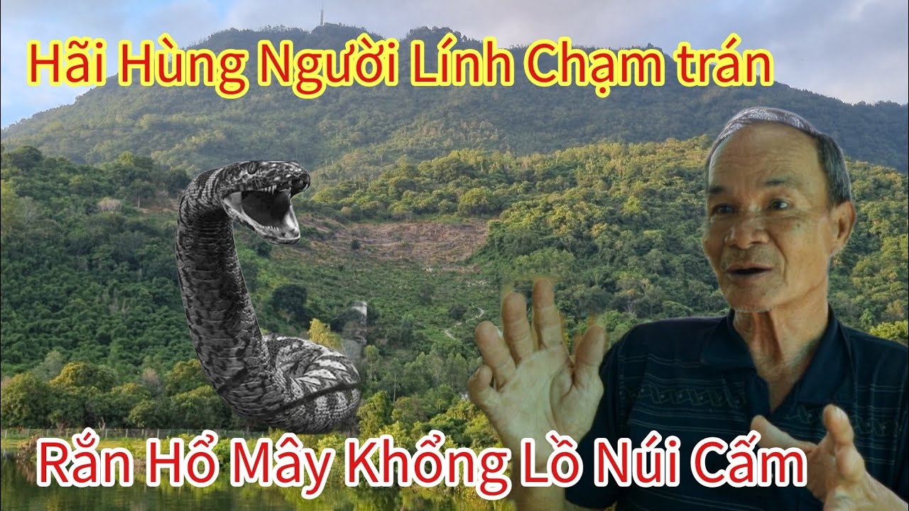 Người Lính Năm Xưa Sống Ẩn Núi Cấm Kể Lại Chạm trán Rắn Hổ Mây Kinh Hoàng