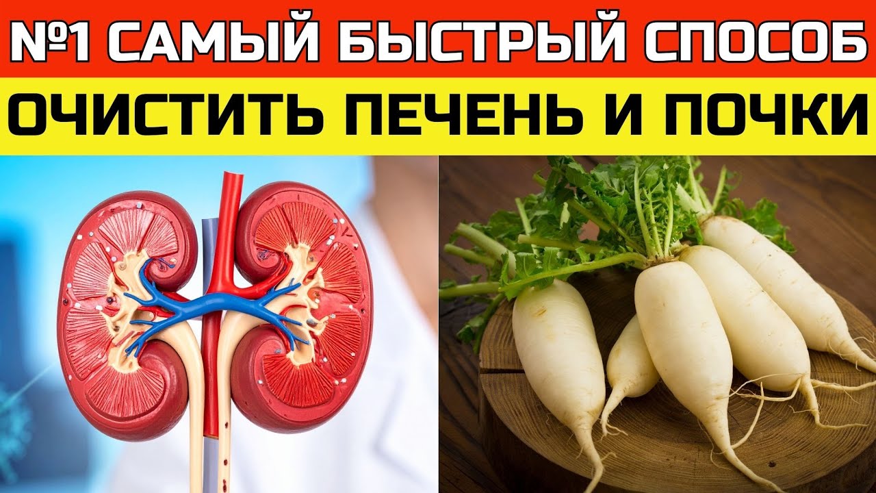 Самый быстрый способ восстановить печень и почки: 12 часов знаний за 20 минут | ЗДОРОВЬЕ ПОСЛЕ 50