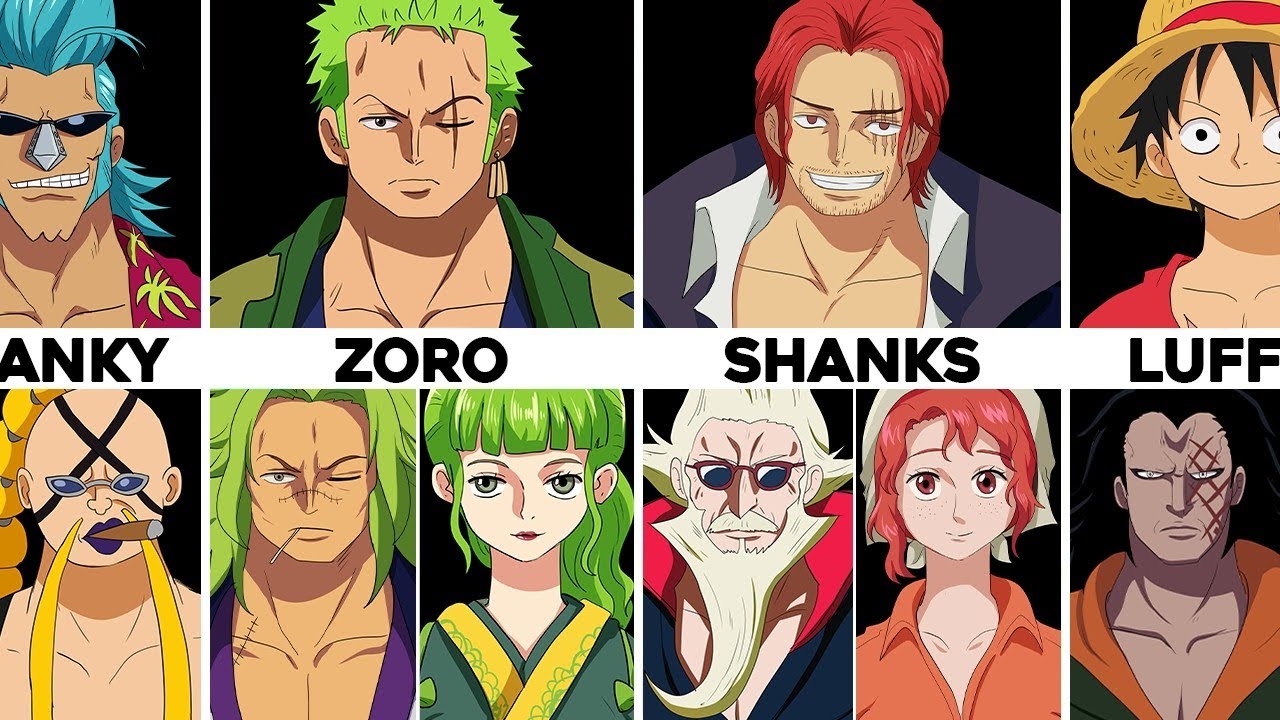 Tous Les Personnages Et Parents De One Piece Expliqués