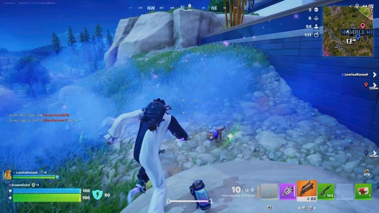 Fortnite win today