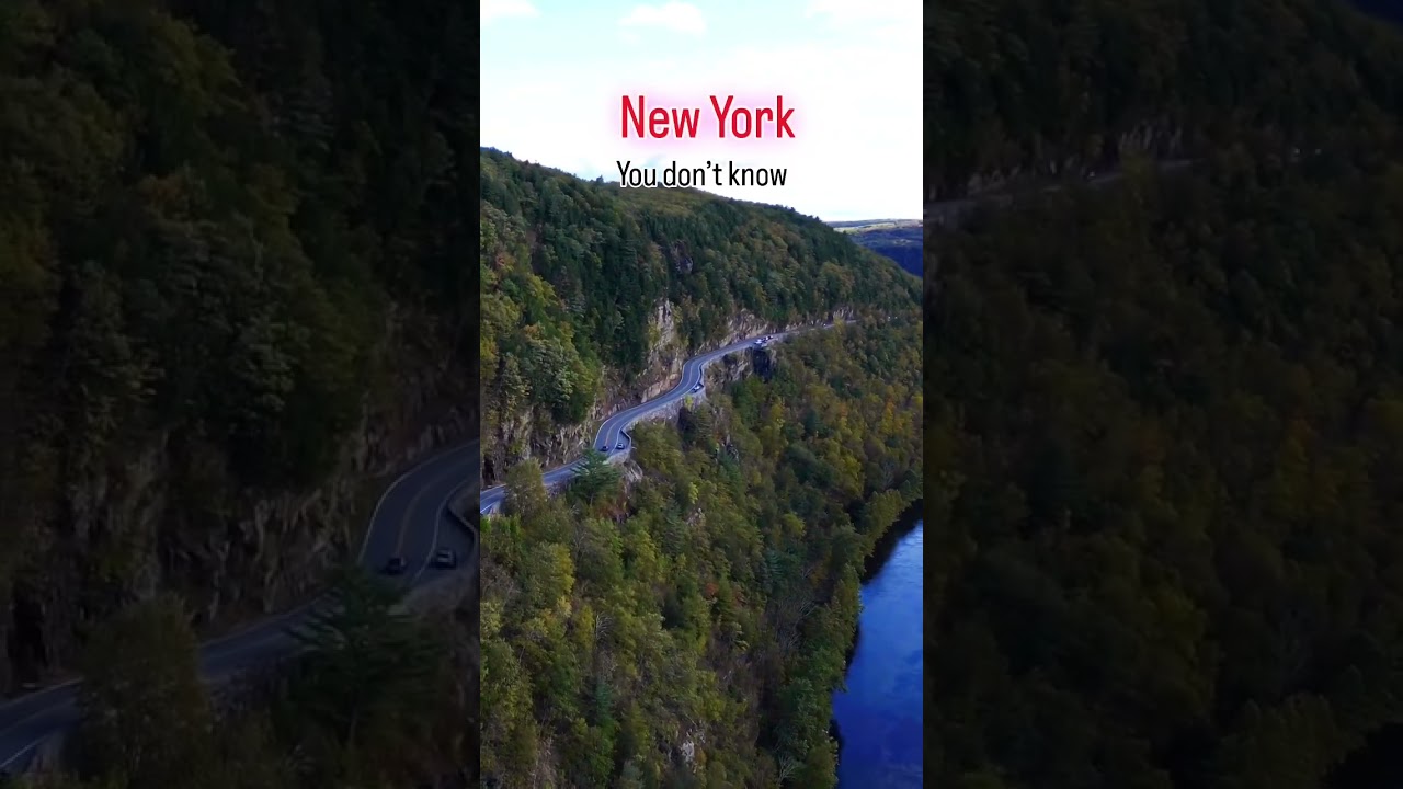 This the best place to experience in New York #travelshorts #fallfashion #fallfoliage #newyork #nyc