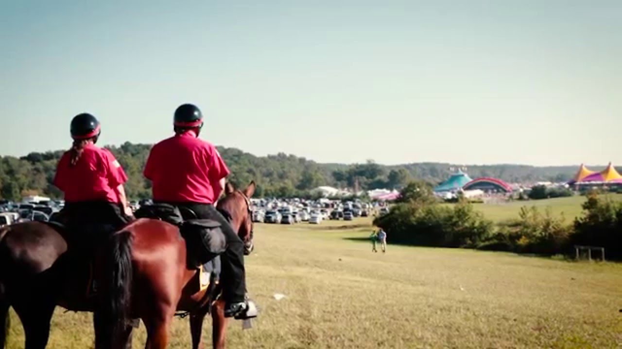 Work for Alpha and Omega Mounted Patrol / Trooper Requirements