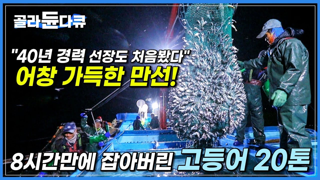 40년 경력 베테랑 선장님도 처음 봤다는 20톤 고등어 풍어! | 군사분계선에 불과 1km 거리의 황금어장 