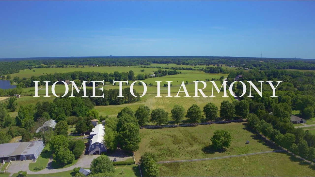 Первый взгляд на сериал «Home to Harmony» от Майкла Лэндона-младшего и Брайана Бёрда. Поделитесь!