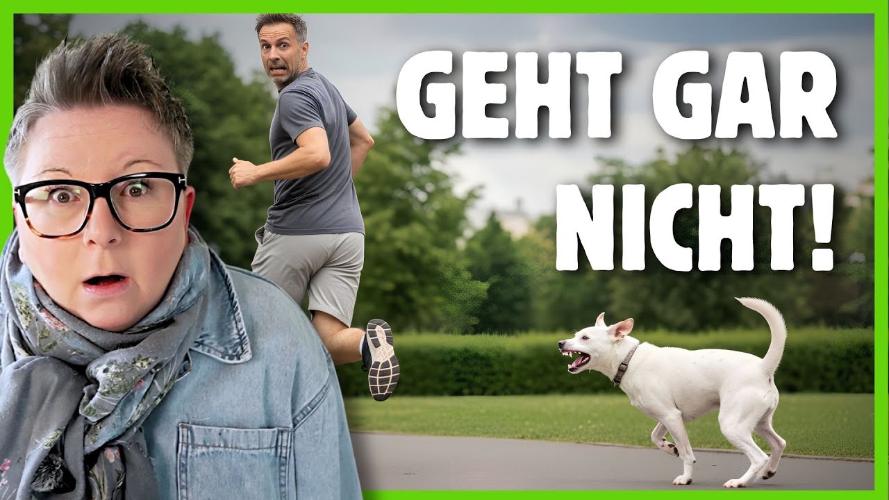 10 Dinge, die du als Hundehalter NIEMALS tun solltest (+Bonus)