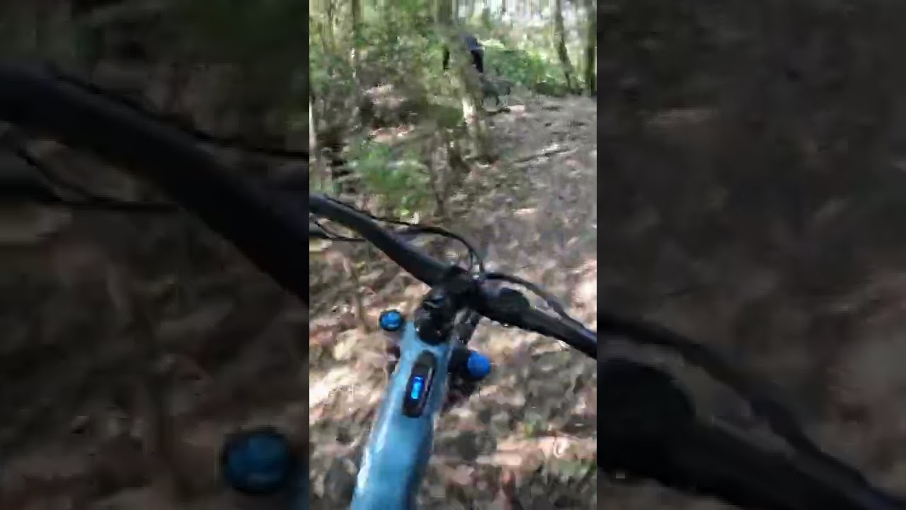 Mountain biking in Taipei