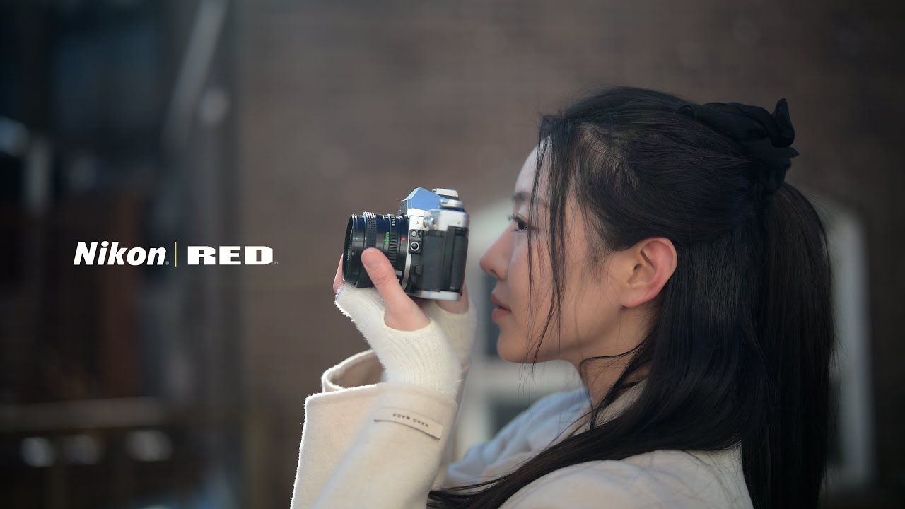 니콘 ZR 무보정 핸드헬드 영상 | 내가 쓰는 실제 설정