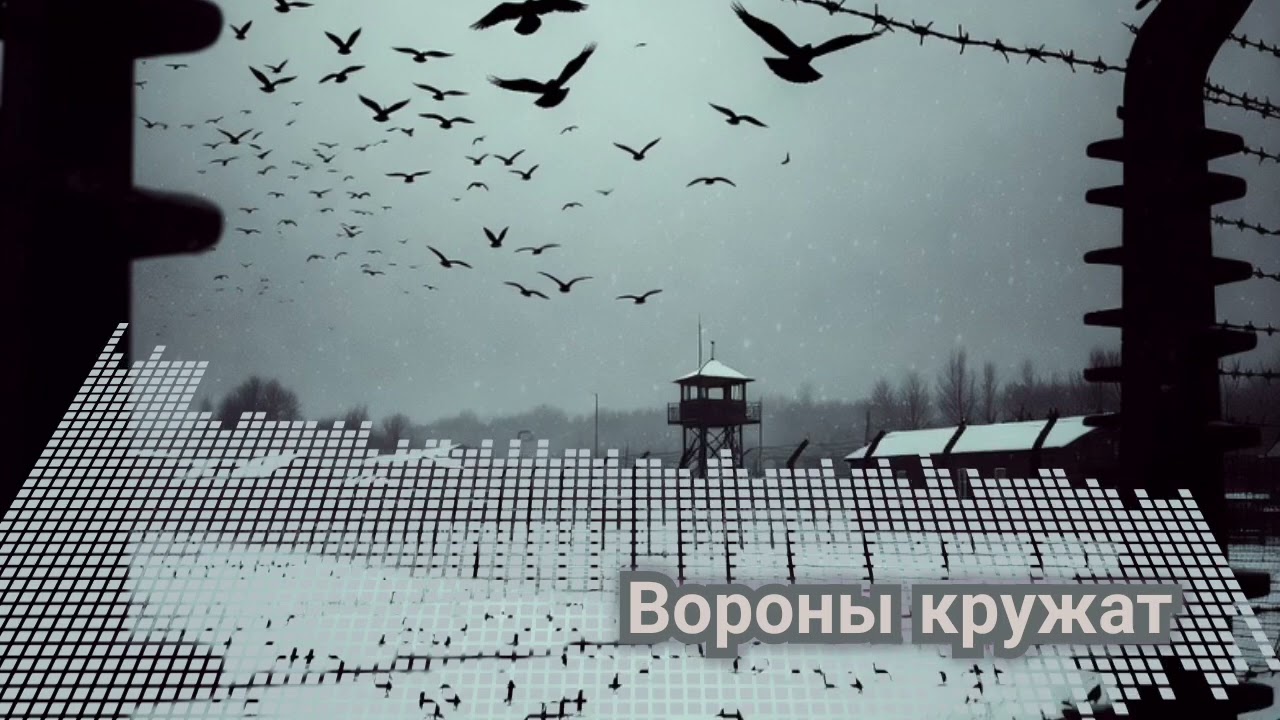 Вороны кружат  ( шансон ) (90-х)