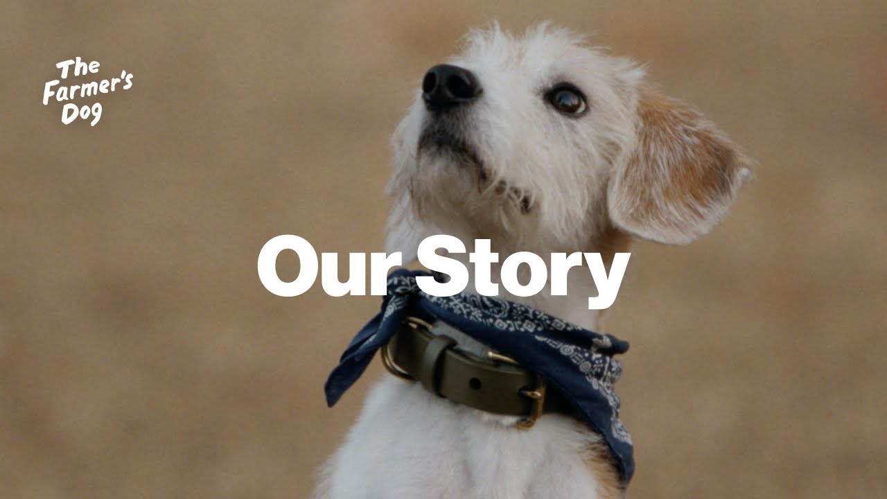 The Farmer's Dog Founders' Story