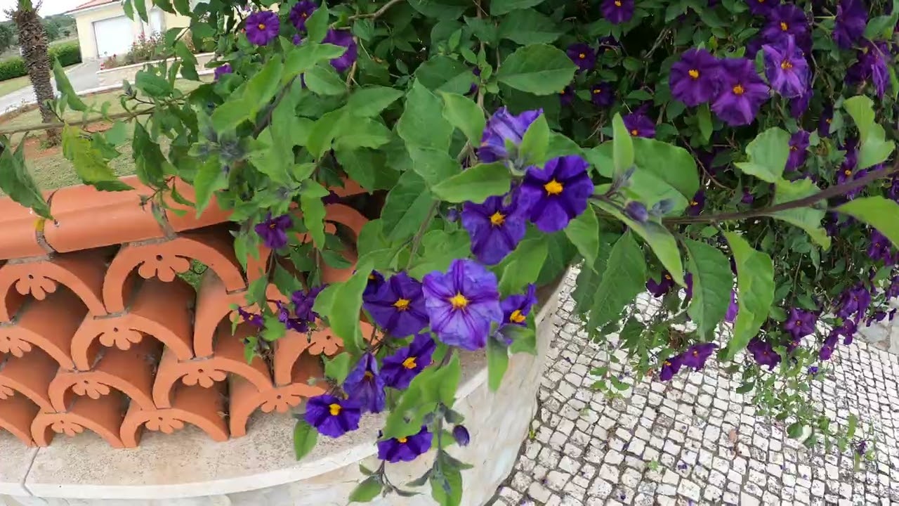 Serra de Santo Antonio part 2