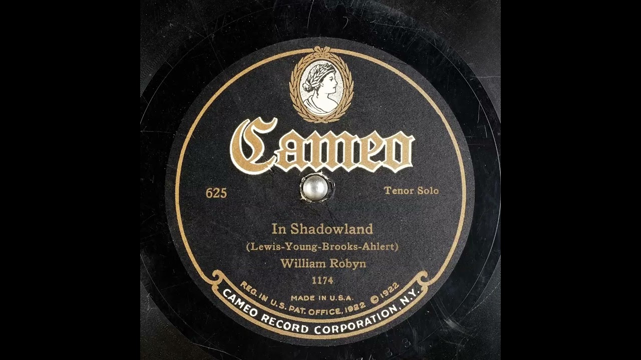 In Shadowland - William Robyn