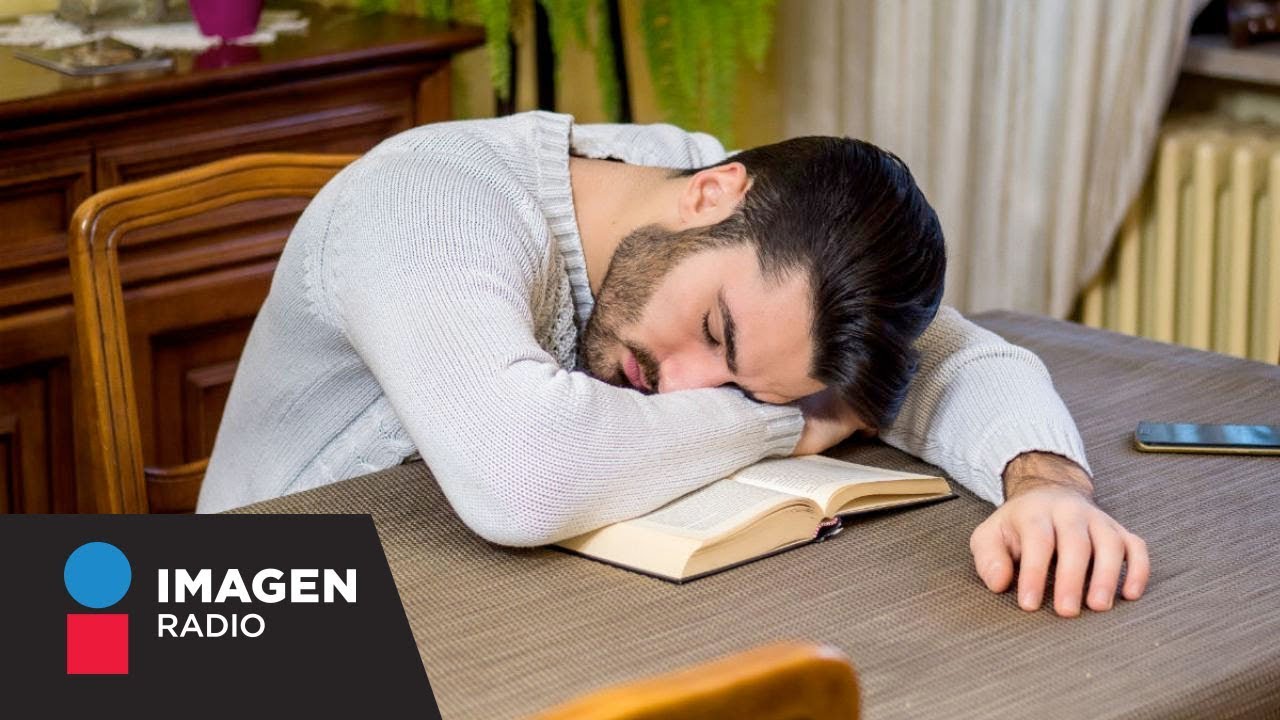¿Por qué te da sueño al leer? / Bien y Saludable