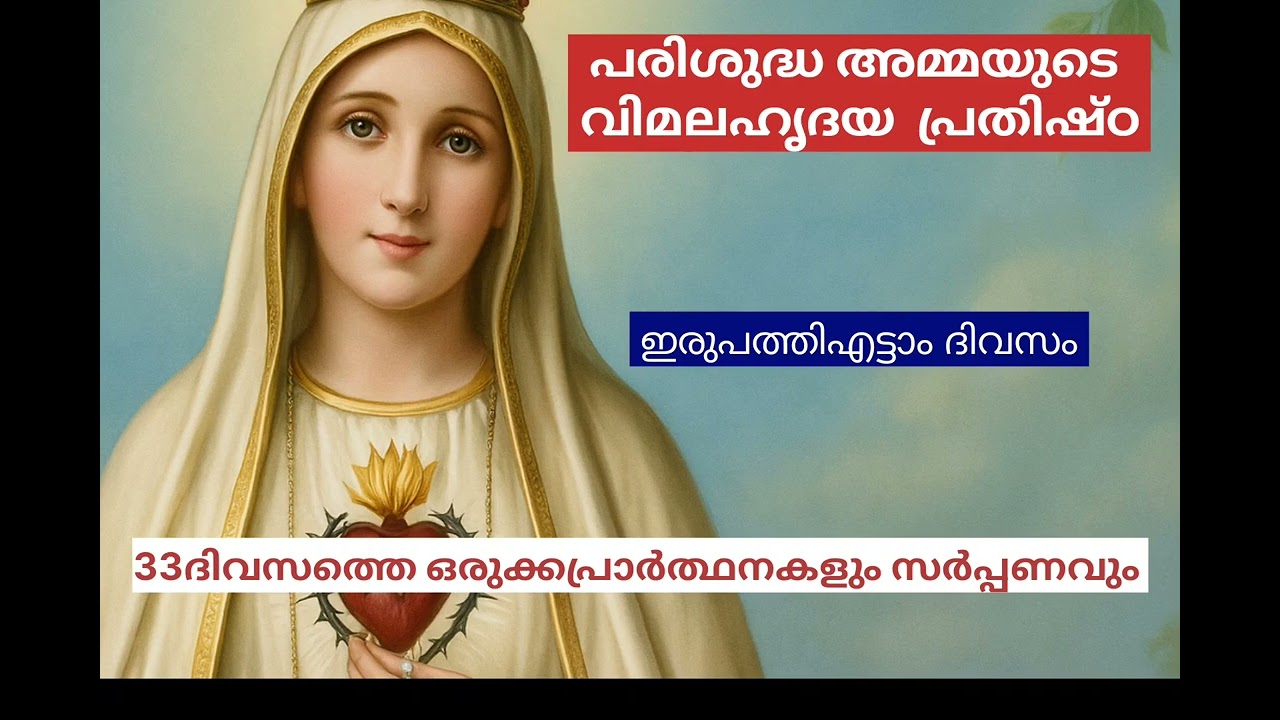 @susannaofjesus Vimalahridaya Prathishtta 28th day#jesuslove #immaculateheartofmary #holymother 