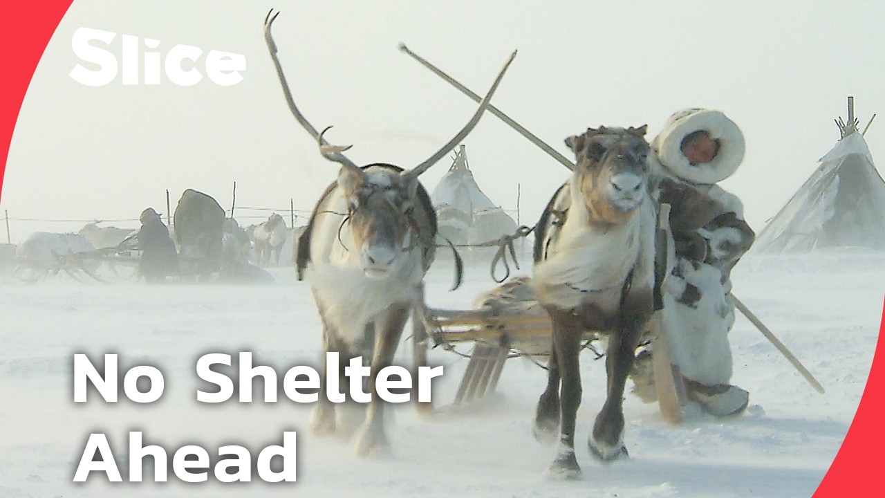 Nomadic herders, frozen tundra, and children on their own | SLICE