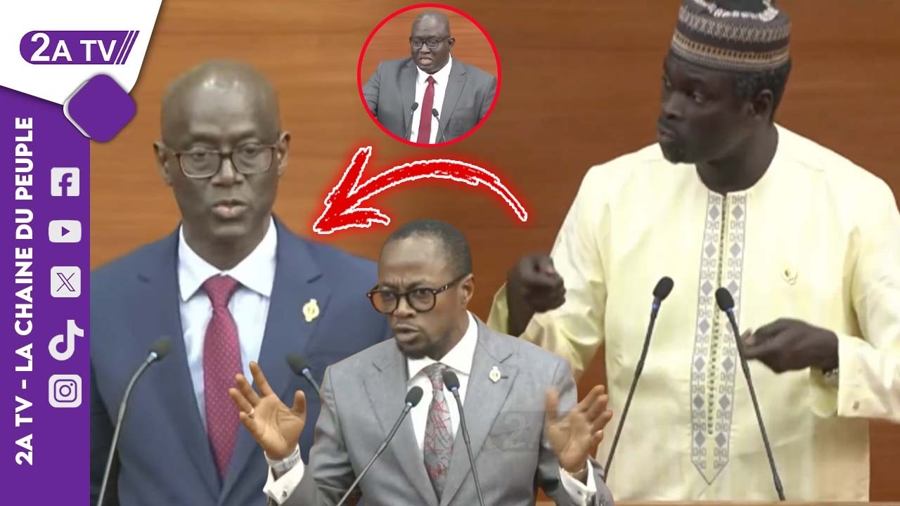 Me Tall crache ses vérités sur Thierno Alassane Sall et Abdou Mbow