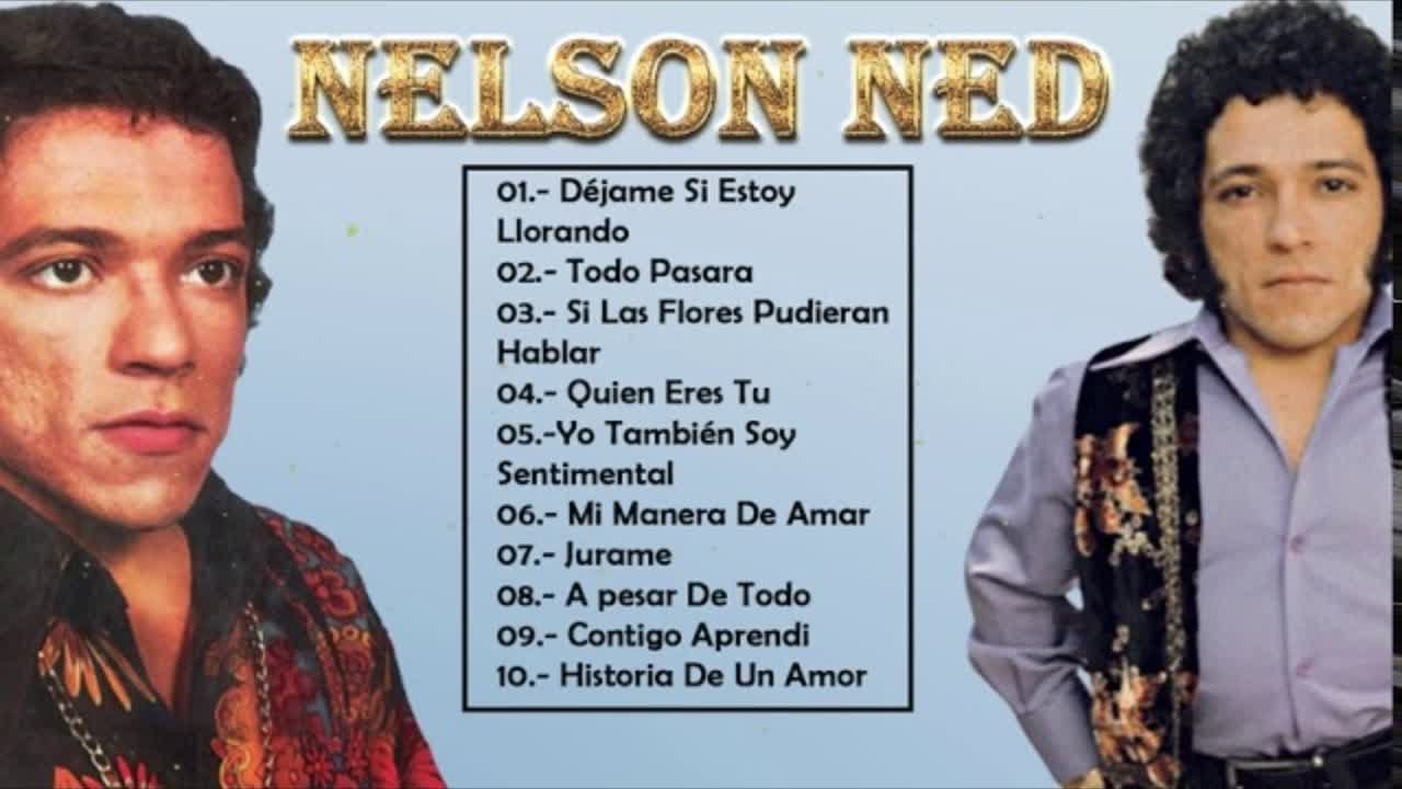 NELSON NED 