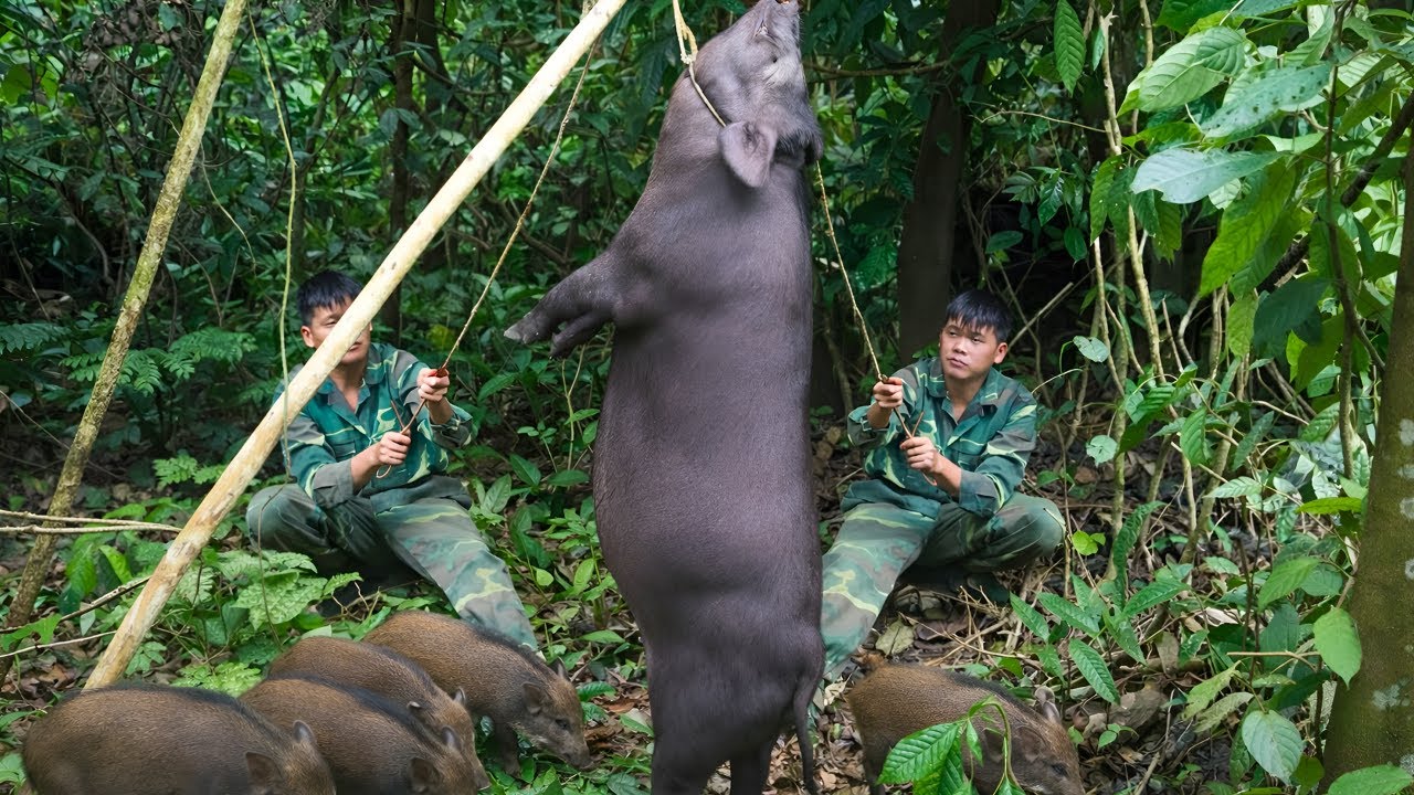 Setting traps for wild boars and catching fish using primitive skills - Surviving alone in the jungl
