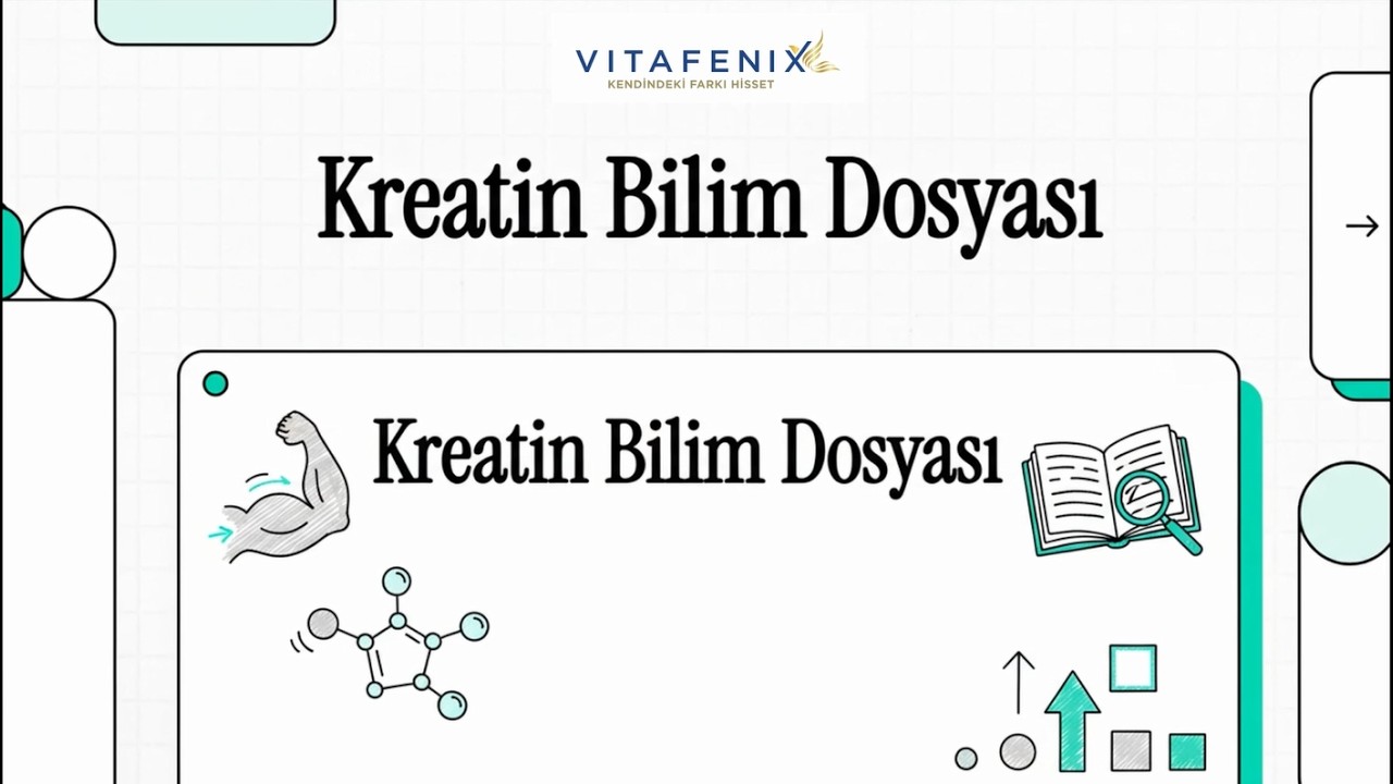 Kreatin Nedir? Ne İşe yarar? Nasıl Kullanılır?