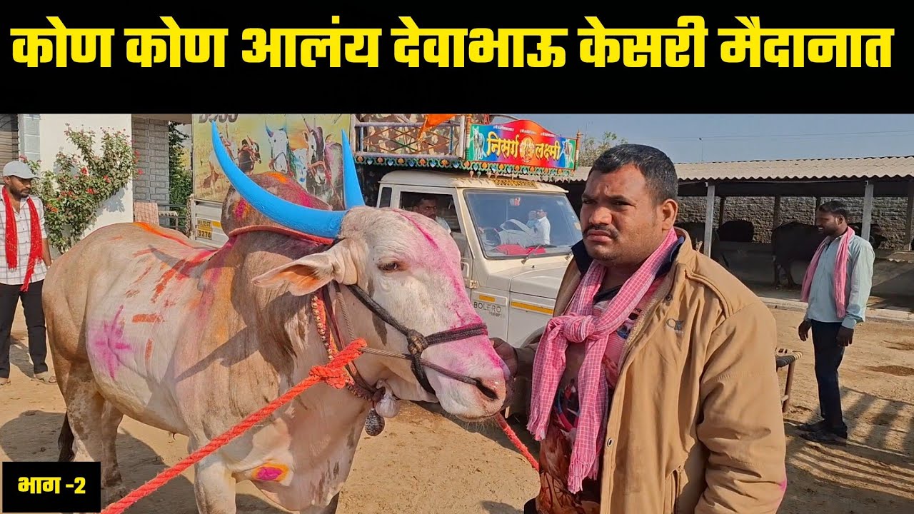 कोण कोण आलंय देवाभाऊ केसरी मैदानात | भाग 2 
