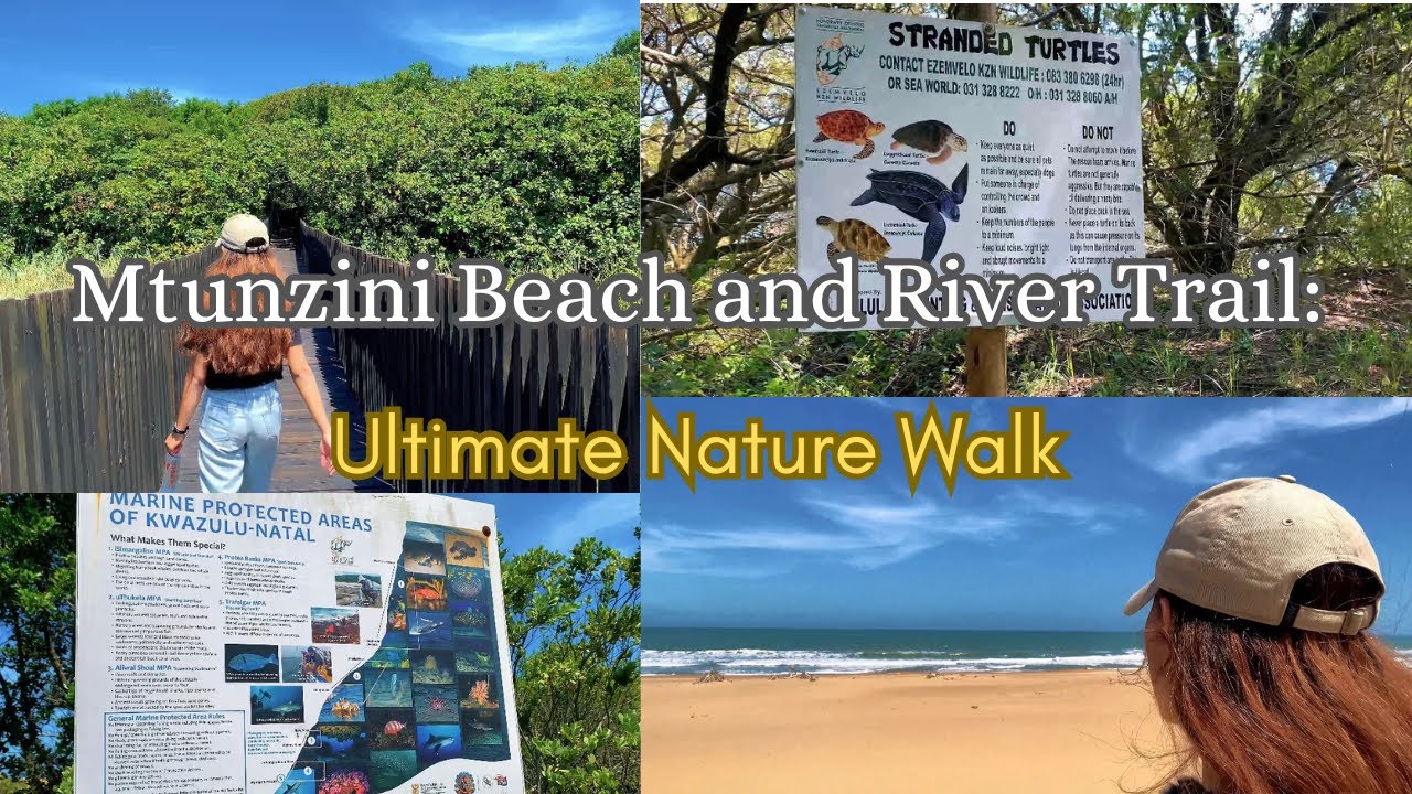 Mtunzini Forest & Beach Trail | From Forest Paths to Ocean Views