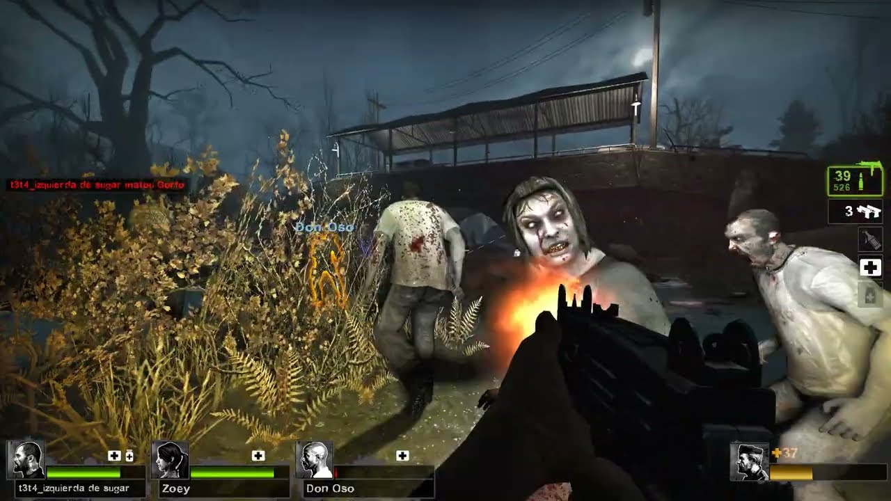 Left 4 Dead 2 2026 02 08   11 57 55 02