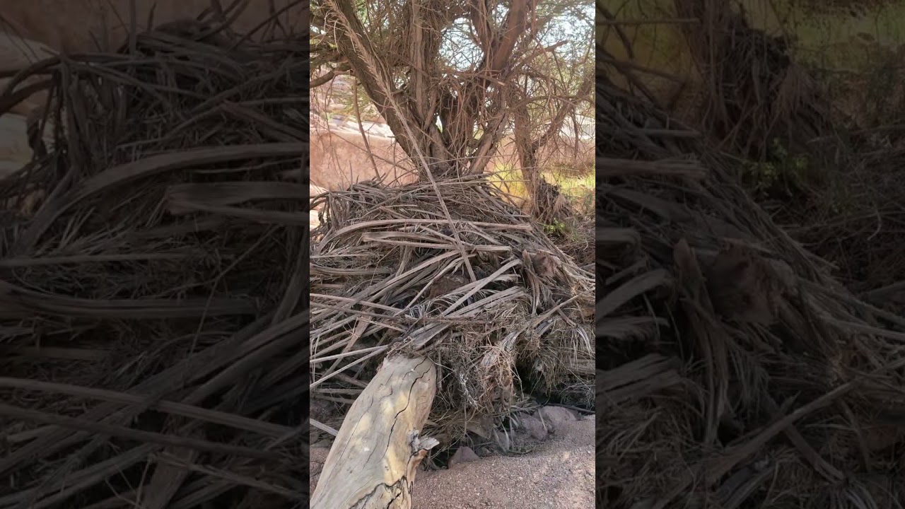 ١٥ فبراير، ٢٠٢٦