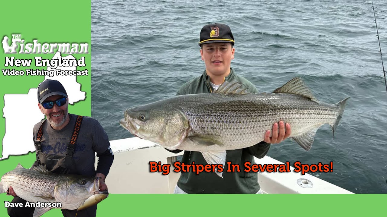 July 16th, 2025 New England Video Fishing Forecast with Dave Anderson