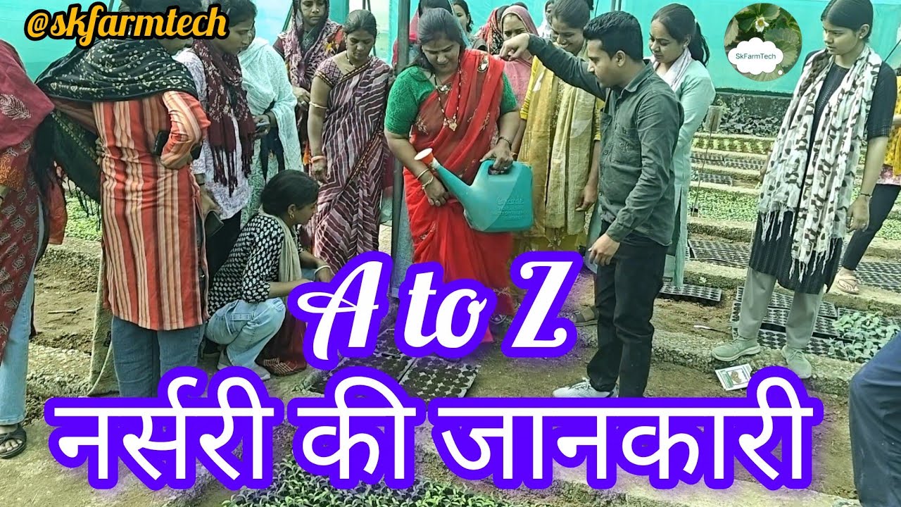 प्रो ट्रे में नर्सरी कैसे तैयार करें || महिलाओं को जानकारी दी || how to grow seedling in pro tray 
