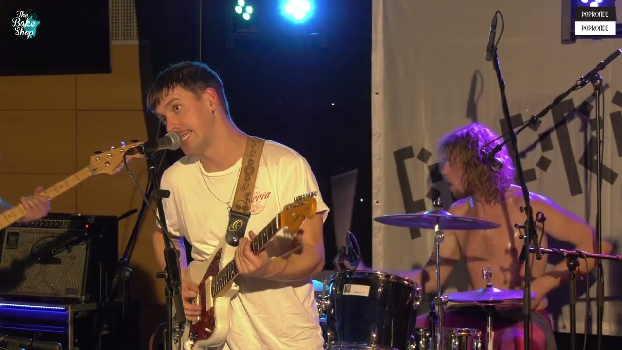 WASTED YOUTH CLUB - DOLPHINS | POPRONDE 2022