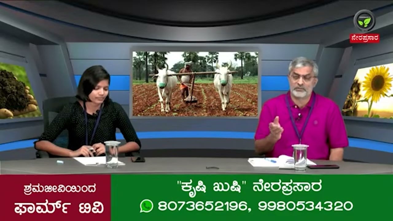 ಫಾರ್ಮ್ ಟಿವಿ ಅಡಿಕೆ ರೈತರನ್ನು ಹೆದರಿಸುತ್ತಿದೆ | Farm TV is Scaring Arecanut Farmers