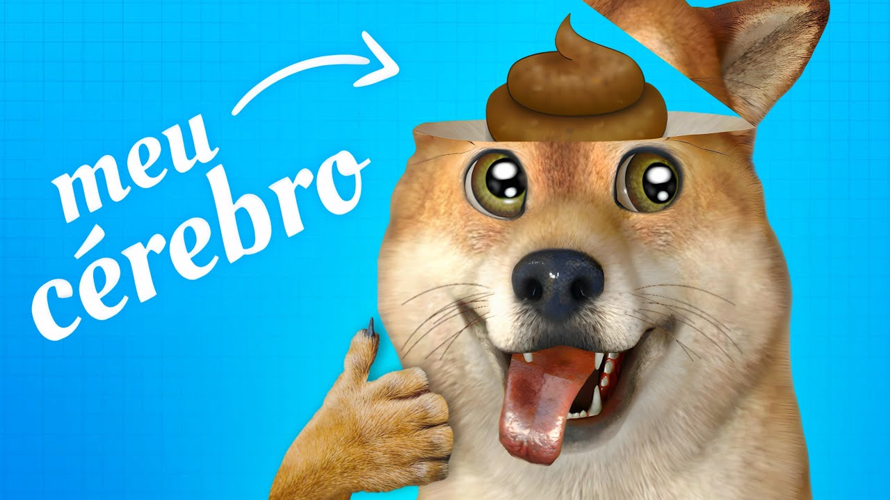 EU SOU BURRO.... 😭😭😭
