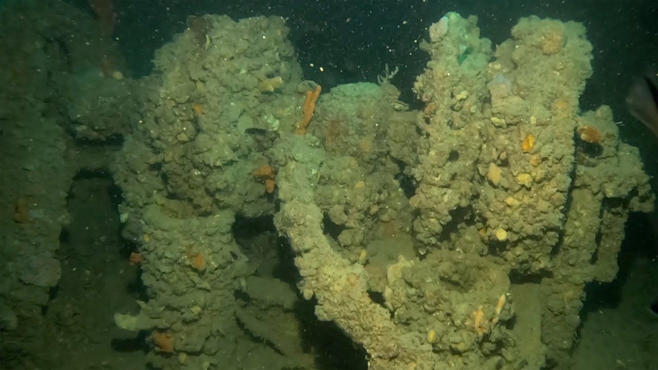 MV Seawolf - Adelaide Diving
