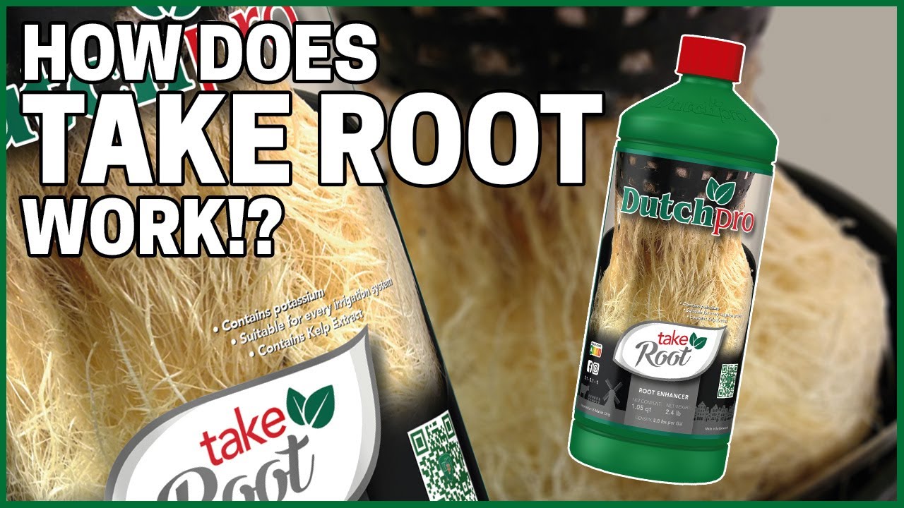 Take Root : How it works