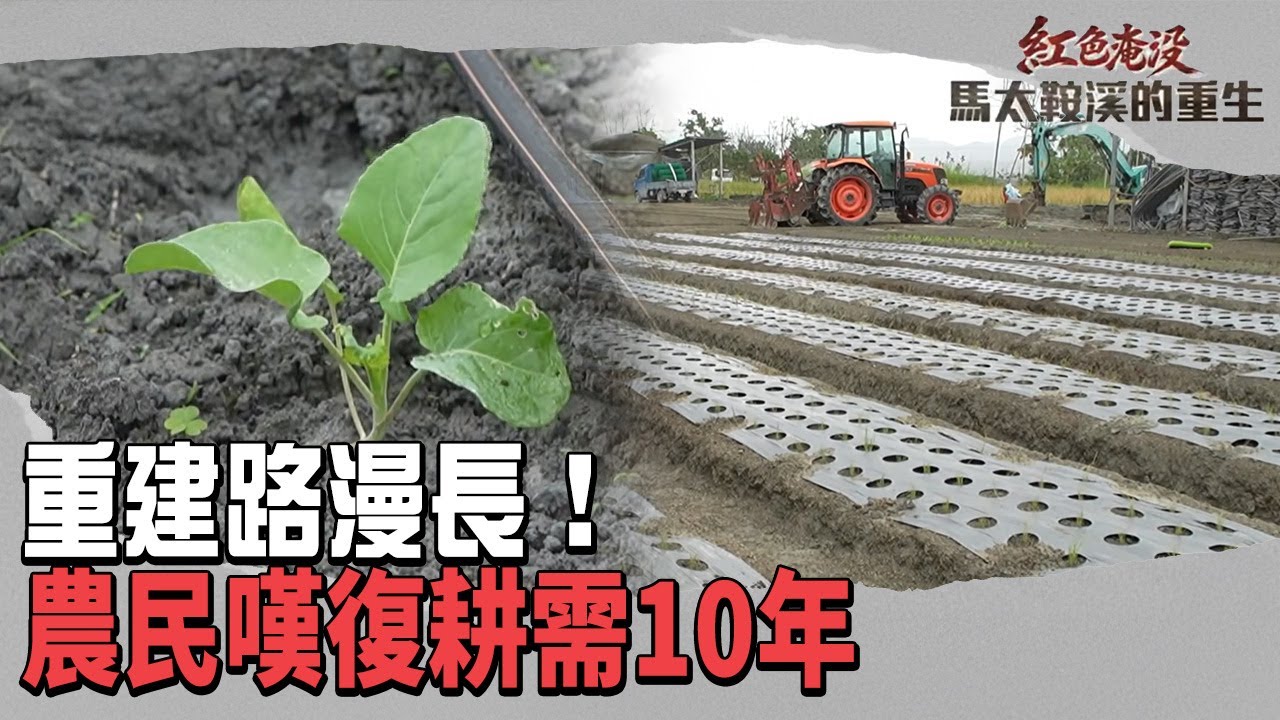 重建路漫長！農民嘆「土壤受傷」復耕需10年 文物館剛驗收就毀｜#紅色淹沒馬太鞍溪的重生｜#TVBS新聞#馬太鞍溪#重建#復耕