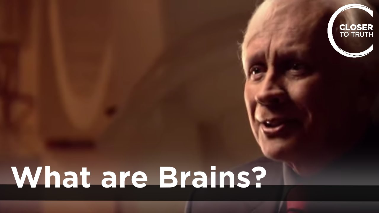 Родольфо Ллинас - Что такое мозг?