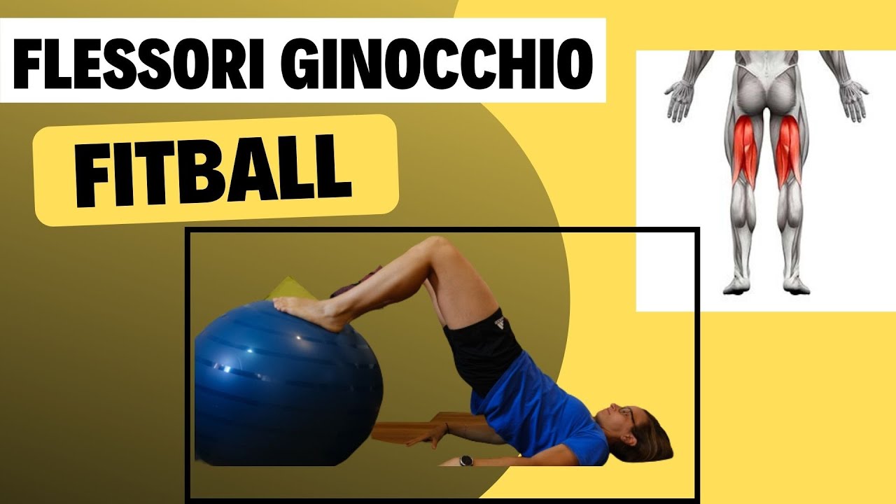 Come allenare i muscoli flessori della coscia a casa _ Rinforzo muscolare con fitball.