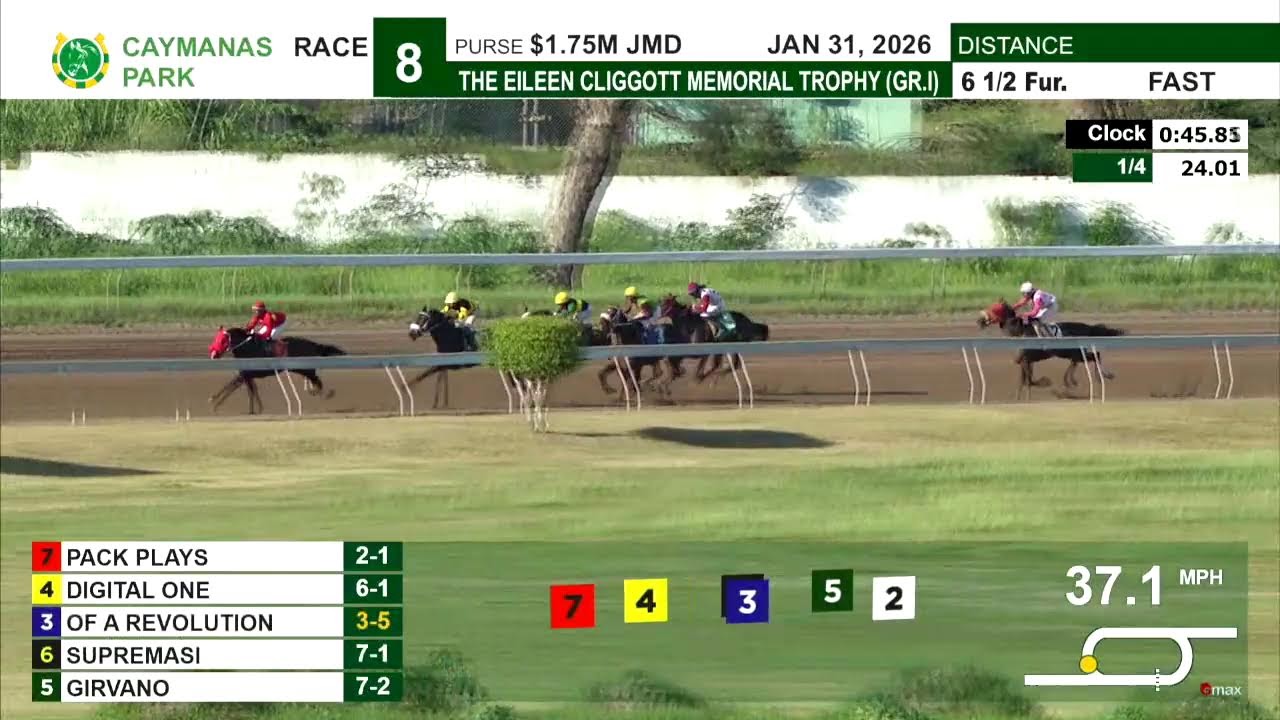 Caymanas Park Jamaica | Saturday, January 31, 2026