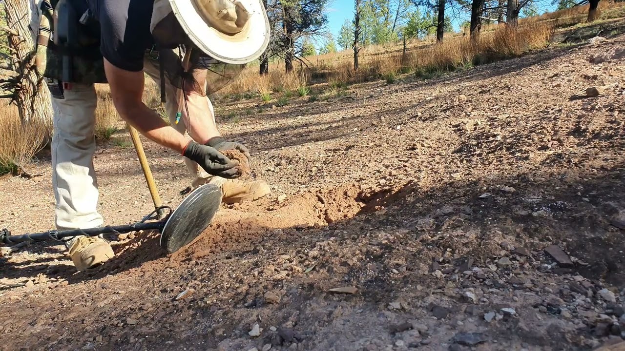 So much for people never being here before 😳 Minelab GP3000 Detech 8