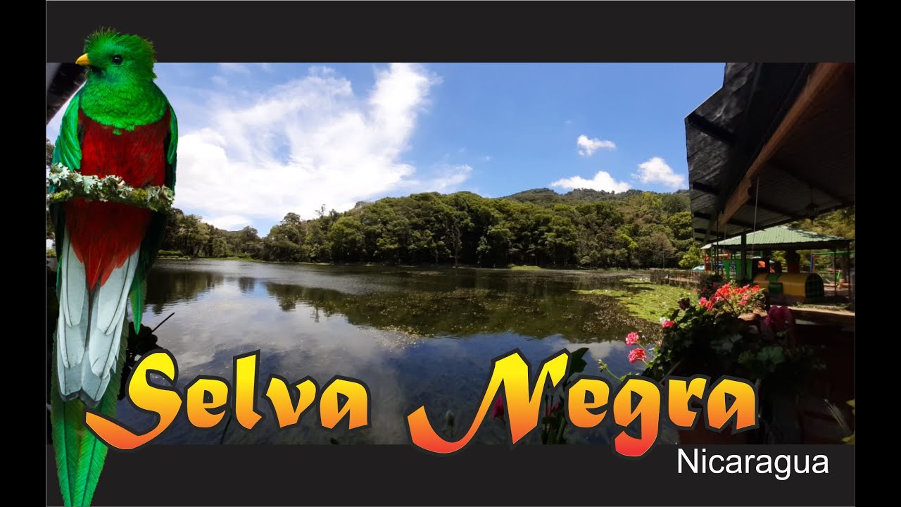 La verdad sobre Selva Negra Nicaragua