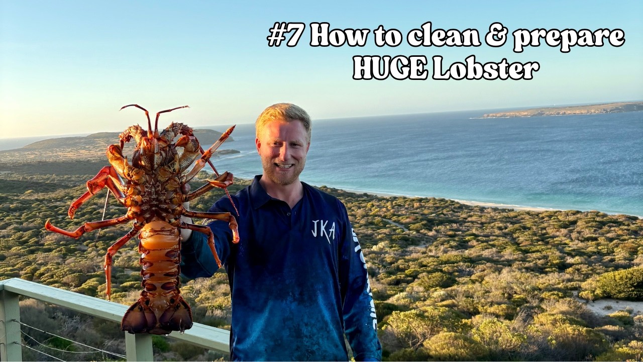 #7 How to clean & prepare HUGE Lobster