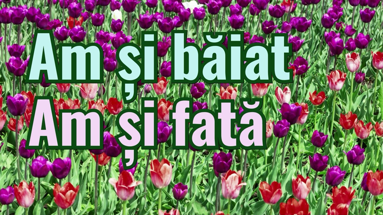 Am și băiat, am și fată